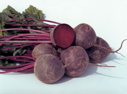 Picture of Organic Beetroot Boro F1